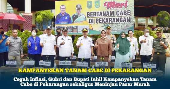 Cegah Inflasi, Gubri dan Bupati Inhil Kampanyekan Tanam Cabe di Pekarangan sekaligus Meninjau Pasar Murah