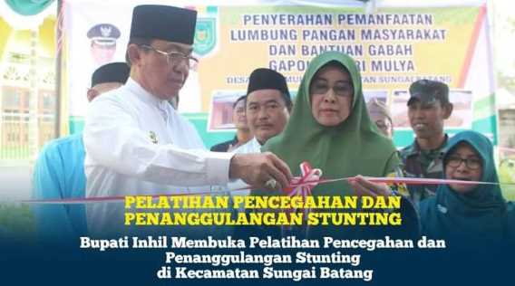 Bupati Inhil Membuka Pelatihan Pencegahan dan Penanggulangan Stunting Kabupaten Inhil