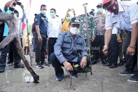 Cegah Erosi, Bupati Inhil HM.Wardan Lakukan Penanaman Pohon Mangrove