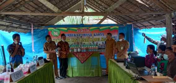 Lounching Perdana Pupuk Kelapa & Sawit, Disbun Inhil Bangga Pada Kelompok Tani TKM Petalongan