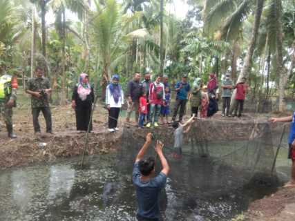 BUMDes Desa Gemilang Jaya Panen Perdana Hasil Budidaya Ikan lele