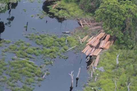 Tanggapi Issue Deforestasi dan Kerusakan Lingkungan Hidup, Kapolda Riau Bertekad Negara Tidak Boleh Kalah dari Kejahatan, Hutan Harus Diselamatkan