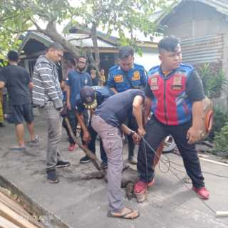 DPKP Inhil Evakuasi Biawak Besar dari Rumah Warga