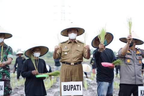 Bupati HM Wardan Nyatakan Inhil Siap Sukseskan Ketahanan Pangan 1000 Hektar