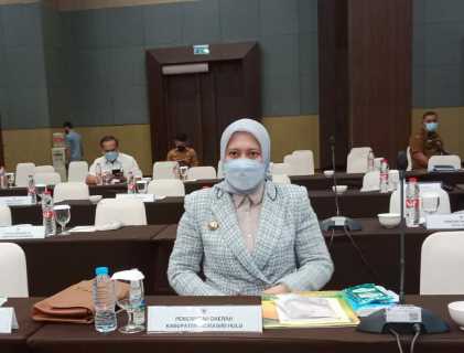 Hadiri Kunker Komisi XI DPR RI ke Provinsi Sumatera Utara, Ini Masukan Bupati Rezita