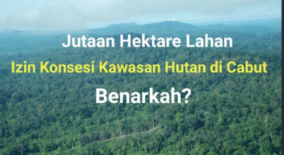 Terkait SK Pencabutan Izin Konsesi Kawasan Hutan, ini kata DLHK Propinsi Riau & PT SHM
