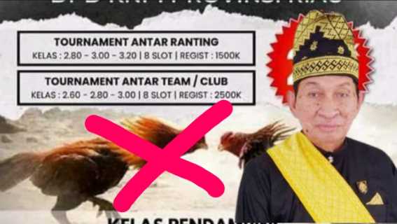 LAMR Tolak Turnamen Laga Ayam Bangkok DPD KNPI Riau