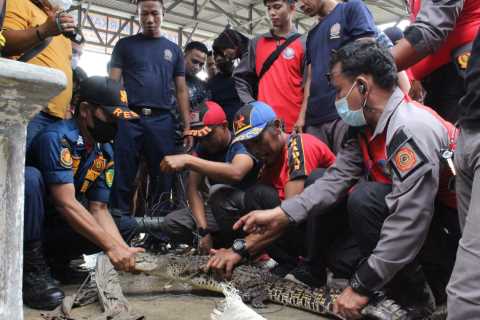 BBKSDA Bersama Damkar Inhil Evakuasi Satwa Liar