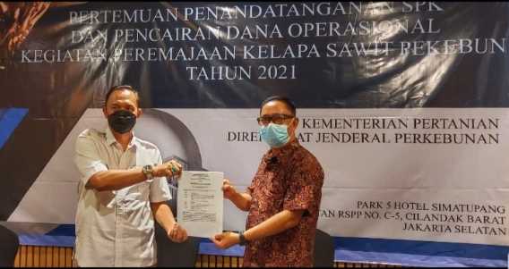 Dapat Target 2.000 Ha Tahun 2021, Kadis Perkebunan Inhil Teken MOU Program PSR