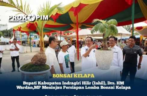 Bupati Inhil Harap Seni Bonsai Kelapa Terus Dikembangkan