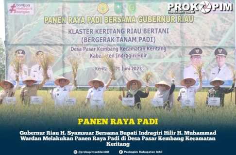Bupati Inhil Bersama Gubri Panen Padi di Desa Pasar Kembang