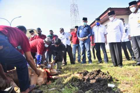 Bupati HM.Wardan Saksikan Pemotongan Hewan Kurban 1442 H di Kantor-Kantor dilingkungan Pemkab Inhil, \