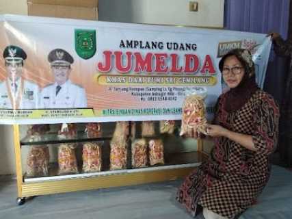 Dinas Koperasi dan UKM Inhil Lakukan Pendataan KUMKM Berbasis Data Tunggal Tahun 2022